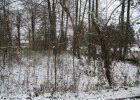 Ansicht Ost