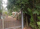 Innenansicht südlicher Grundstücksteil