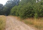 Südliche Grundstücksgrenze mit Zufahrtsweg