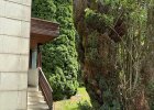 Eingangsbereich mit Zugang zum Garten