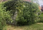 Anbau