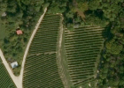 Weinberg Fl.Nr. 3282, 97291 Thüngersheim